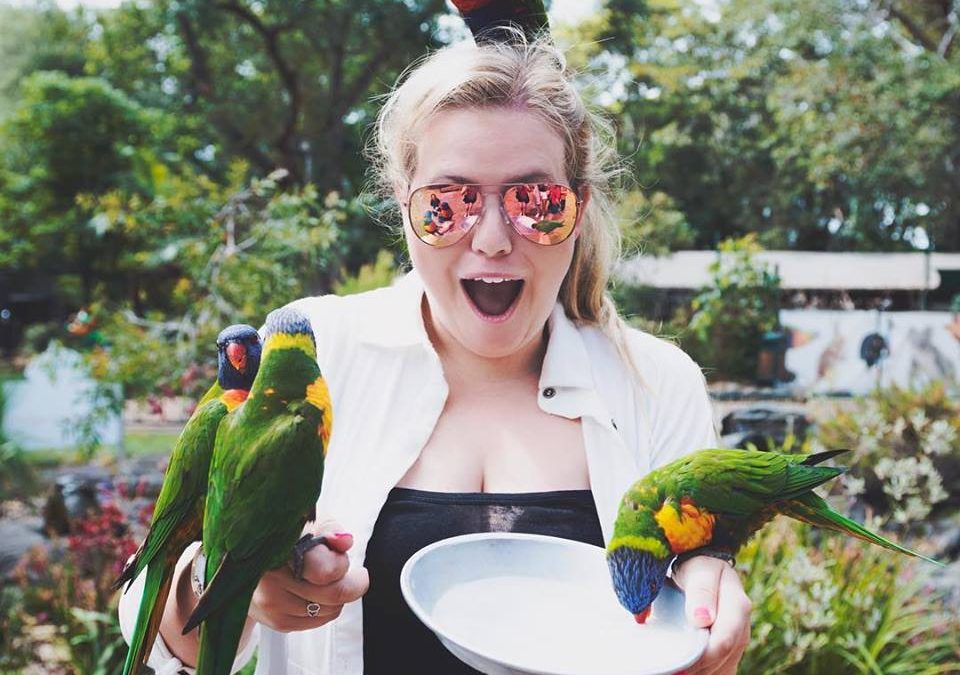 Interact with Your Favourite Animals at the Gold Coast’s Favourite Wildlife Sanctuary