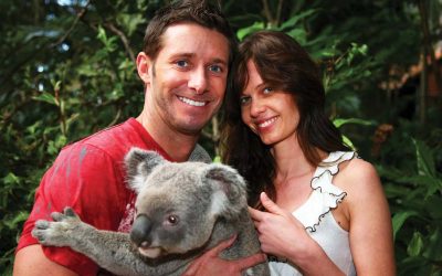 Spend an Exciting Day at Currumbin Wildlife Sanctuary