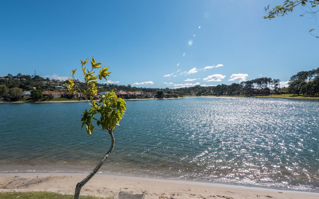 Complete Your Gold Coast Trip by Swimming Alongside Turtles with Snorkel Safari!