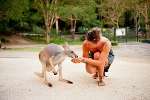 Experience the Australian Wildlife at Currumbin Wildlife Sanctuary