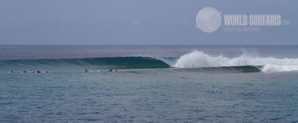 World Surfaris Coast-of-Origin Interclub Series Regional Challenge