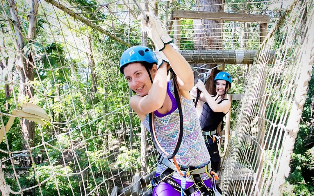 TreeTop Challenge Currumbin Wildlife Sanctuary