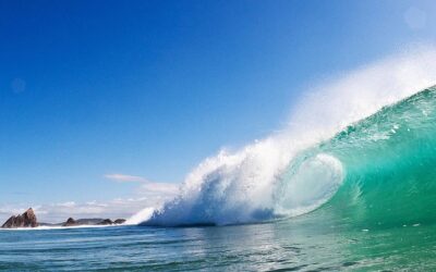 Nature-Filled Gold Coast Tours You’ll Regret Skipping