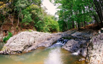 A Dust Temple morning: coffee, art and the creek from Isle of Palms
